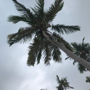 Meet your Posher, Abbie